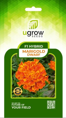 U-GROW INDIA UGROW INIDA MINIBLOOM HYBRID MARIGOLD DWARF MINIBLOOM SEEDS & PLANAT Seed(40 per packet)