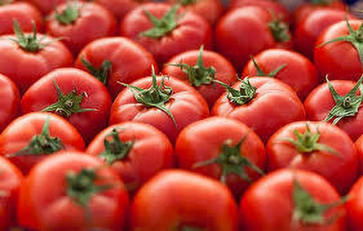 XOLDAA hybrid f1 quality tomato seeds Seed(20 per packet)