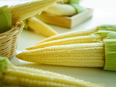 LPR SWEET CORN Seed(40 per packet)