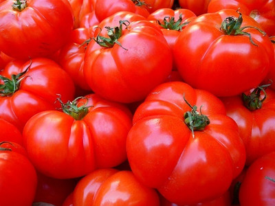 CYBEXIS Pusa-120 Tomato Variety500 Seeds Seed(500 per packet)