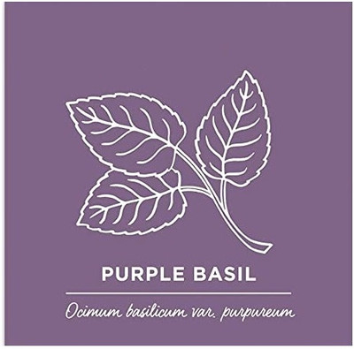 Qualtivate XL-96 Organic Basil ‘Dark Purple Opal’ Seed(1000 per packet)