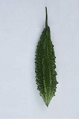 VibeX ® LXI-335 High Growth Bitter Gourd (Karela) Seeds Seed(50 per packet)