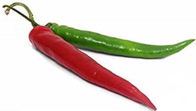 KNESSiN High Yield LONG RED THIN CAYENNE PEPPER Seeds For Gardening-(300 Seeds) Seed(300 per packet)