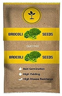 WILLVINE SCI -IV Home Made Broccoli Seeds Hybrid Organic [2.5g] Seed(750 per packet)