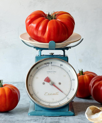 Biosnyg Disease-Resistant SteakHouse Tomato Seeds For Kitchen Gardening - (2000 Seeds) Seed(2000 per packet)