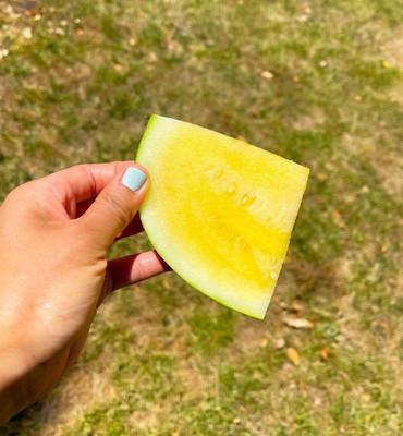 Biosnyg Non GMO Yellow Petite Watermelon Seeds For Kitchen Gardening-(100 Seeds) Seed(100 per packet)