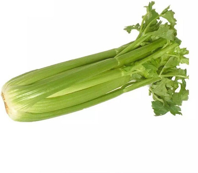 Quentova Organic Celery Vegetable-7N-SWAT Seed(100 per packet)