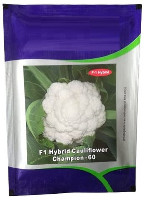 WILLVINE PAU -XI Cauliflower F1 Hybrid Seed[1g, 300 Seeds] Seed(300 per packet)