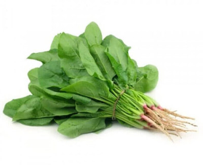 Cloud Farm RES-1A Desi Palak Spinach Seeds Seed(300 per packet)