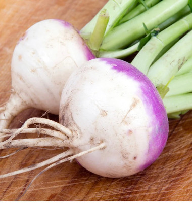 Avysa White Purple Ball Turnip/Shalgam Seed(800 per packet)