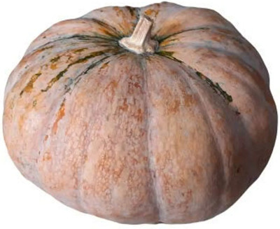 CHILLATAI Kaddu / Kakharu / Pumpkin Seed(10 per packet)