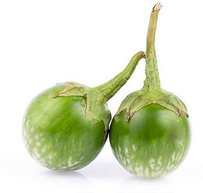 CYBEXIS ATS-33 - Organic Hybrid Brinjal - (1350 Seeds) Seed(1350 per packet)