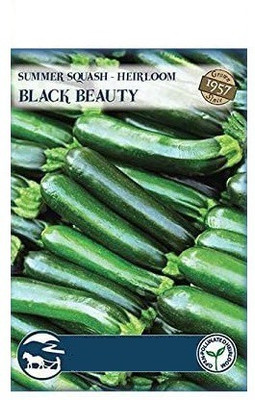CYBEXIS Black Beauty Summer Squash 100 Seeds Seed(100 per packet)