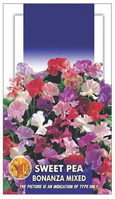 WILLVINE Sweet Pea Bonanza Mixed -[2000 Seeds] Seed(2000 per packet)