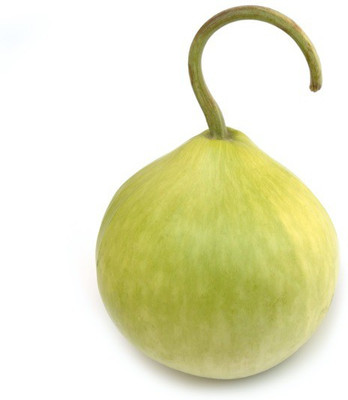 Biosnyg Summer Squash [50 Seeds] Seed(50 per packet)