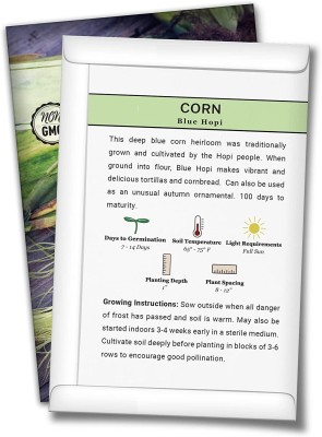 VibeX XL-97 - Blue Hopi Corn for Planting - (750 Seeds) Seed(750 per packet)