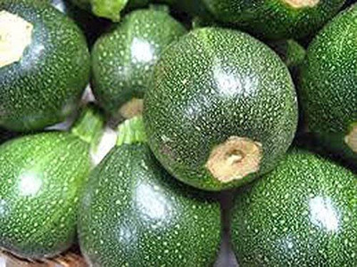 CYBEXIS VXI-2 - Zucchini Round Squash - (75 Seeds) Seed(75 per packet)