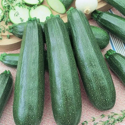 Aywal High Germination Seeds Burpless Hothouse Cucumber Seed(60 per packet)