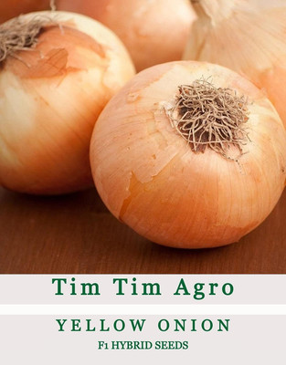 WILLVINE ROX -XII Yellow Sweet Spanish Onion [10g] Seed(7500 per packet)