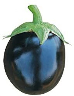 Aywal Brinjal-F1-Purple Hybrid Seed(5 g)