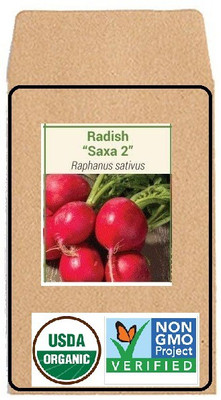 CYBEXIS Hybrid Seeds-Heirloom Round Red Radish600 Seeds Seed(600 per packet)
