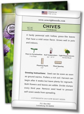 Qualtivate XXX-4A Hybrid Chives Seeds Seed(300 per packet)