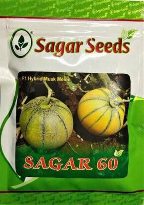 the green dotcom F-1 HYBRID MUSKMELON SEEDS Seed (1250 per packet) Seed(105 per packet)