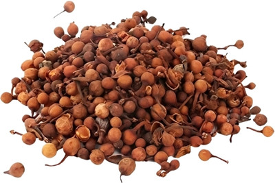 Elysian Enterprises Nagkesar - Mesua Ferrea - Cobra Saffron - Nag Kesar - Nagkeshar Seed(100 g)