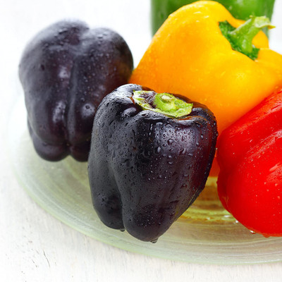 CYBEXIS Capsicum annuum Seeds Sweet Pepper 600 Seeds Seed(600 per packet)