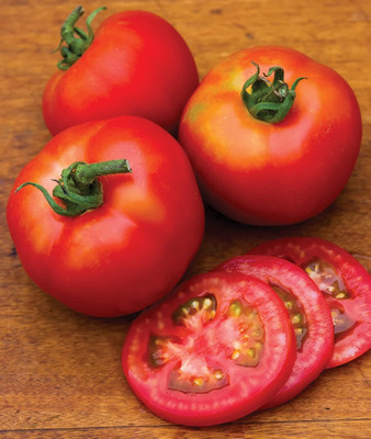 Qualtivate HUA-2A Early Girl Tomato Seed(300 per packet)