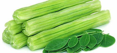 CYBEXIS VVI-21 - Moringa PKM2 Drumstick - (450 Seeds) Seed(450 per packet)