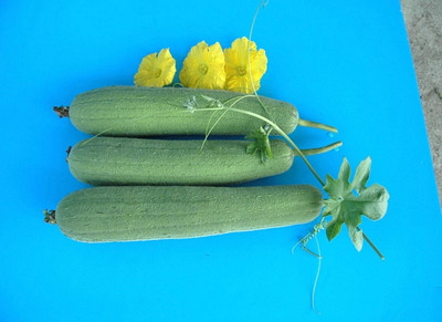 UGRA luffa seeds, smooth sponge gourd Seed(150 per packet)