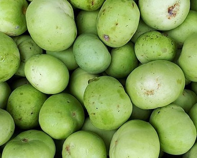 ASPEN Apple Gourd | Round Melon | Tinda Seed(40 per packet)