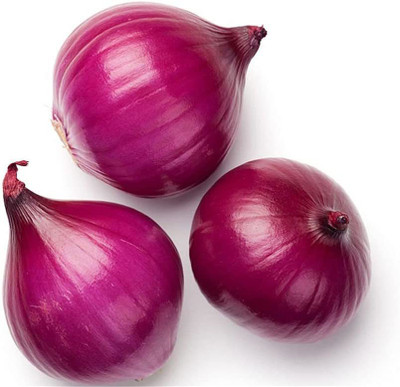 CYBEXIS Hardy Nasik Onion Seeds-500 Seeds Seed(500 per packet)