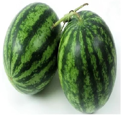 Quentova High quality sweet watermelon/तरबूज के बीज-PALLAV-5I Seed(150 per packet)