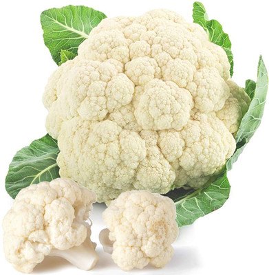 MOONQULTY Organic Cauliflower(Phoolagobhee) Vegetable Plant Seed(104 per packet)