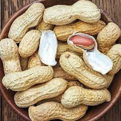 SUPRIKAM Jumbo High-yield Virginia Peanut Seed(150 per packet)