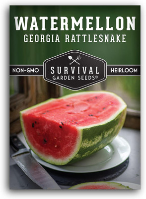Qualtivate ICRA-2A Georgia Rattlesnake Watermelon Seed Seed(100 per packet)