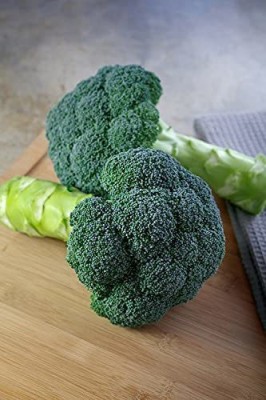 VibeX XL-12 - Green Hybrid Broccoli - (1350 Seeds) Seed(1350 per packet)