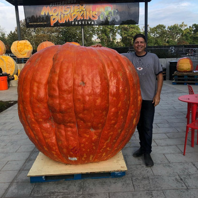 KNESSiN High Yield Whoppers Giant Pumpkin (60 Seeds) Seed(60 per packet)