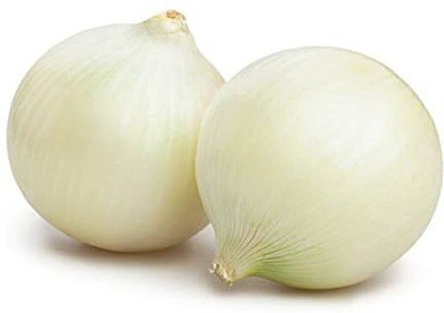 TRICONE White Onion Seed(100 per packet)