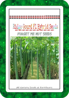 Cloud Farm ® High Germination Ridge Gourd F1 Seeds Hybrid Variety Seed(90 per packet)