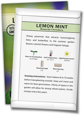 WILLVINE F1 Hybrid Lemon Mint Seeds Seed(500 per packet)