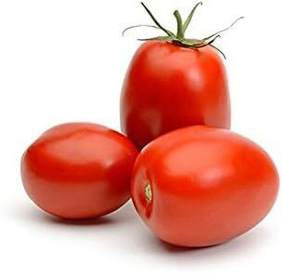 Biosnyg Organic Italian Roma Tomato Seeds For Planting - (1000 Seeds) Seed(100 per packet)
