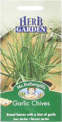 Qualtivate ICRA-7A Garlic Chives Seeds Seed(300 per packet)