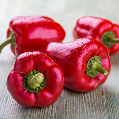 Qualtivate HUA-8A Premium Hybrid Red Capsicum Seeds Seed(100 per packet)