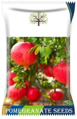 Qualtivate XL-157 Pomegranate Tree Seeds Seed(25 per packet)