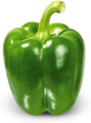 BDSresolve hybrid bell pepper seeds/capsicum seeds 19 Seed(19 per packet)