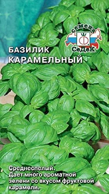 WILLVINE Basil Caramel-[2000 Seeds] Seed(2000 per packet)