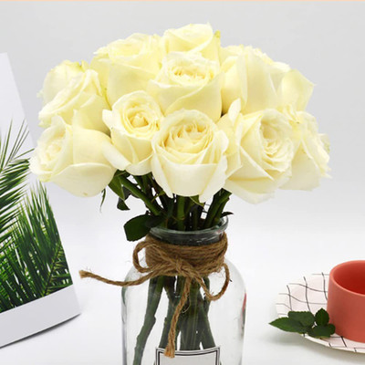 WILLVINE TLX-538 Hybrid Rose Seeds Seed(50 per packet)